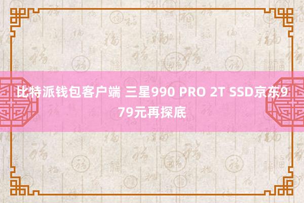 比特派钱包客户端 三星990 PRO 2T SSD京东979元再探底