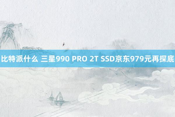 比特派什么 三星990 PRO 2T SSD京东979元再探底