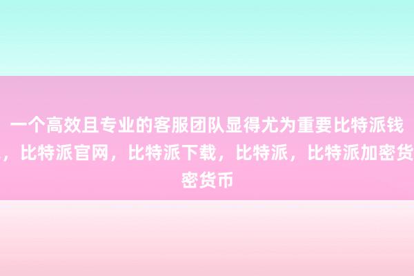 一个高效且专业的客服团队显得尤为重要比特派钱包，比特派官网，比特派下载，比特派，比特派加密货币