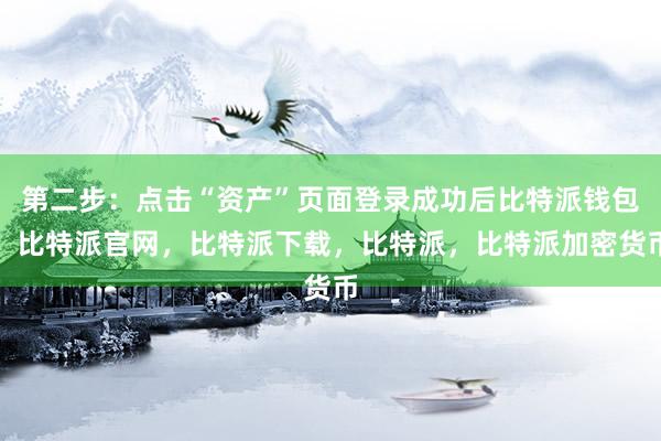 第二步：点击“资产”页面登录成功后比特派钱包，比特派官网，比特派下载，比特派，比特派加密货币