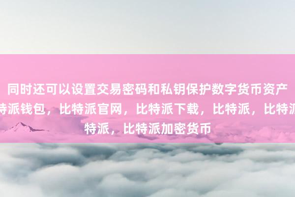 同时还可以设置交易密码和私钥保护数字货币资产的安全比特派钱包，比特派官网，比特派下载，比特派，比特派加密货币