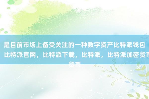 是目前市场上备受关注的一种数字资产比特派钱包，比特派官网，比特派下载，比特派，比特派加密货币