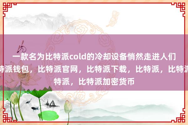 一款名为比特派cold的冷却设备悄然走进人们的视线比特派钱包，比特派官网，比特派下载，比特派，比特派加密货币