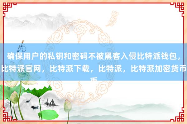 确保用户的私钥和密码不被黑客入侵比特派钱包，比特派官网，比特派下载，比特派，比特派加密货币