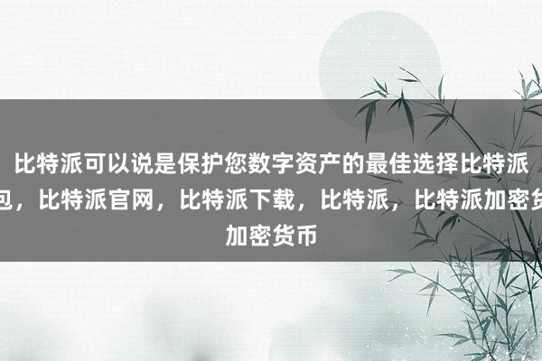 比特派可以说是保护您数字资产的最佳选择比特派钱包，比特派官网，比特派下载，比特派，比特派加密货币