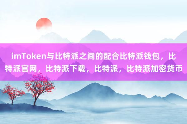 imToken与比特派之间的配合比特派钱包，比特派官网，比特派下载，比特派，比特派加密货币