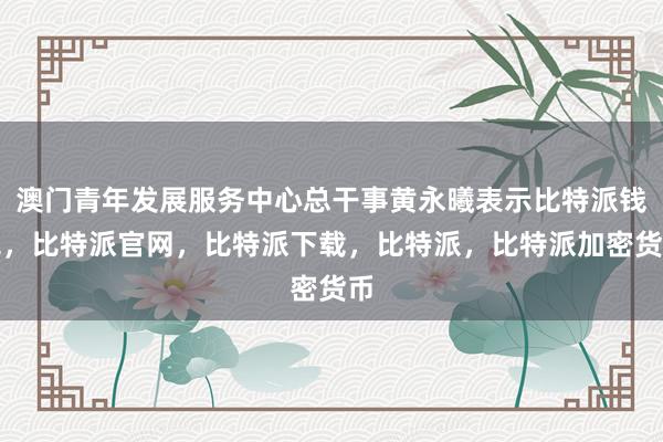 澳门青年发展服务中心总干事黄永曦表示比特派钱包，比特派官网，比特派下载，比特派，比特派加密货币