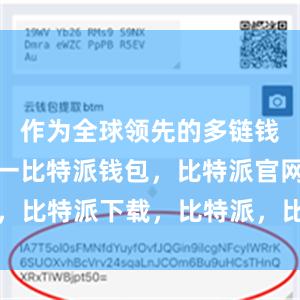 作为全球领先的多链钱包品牌之一比特派钱包，比特派官网，比特派下载，比特派，比特派加密货币