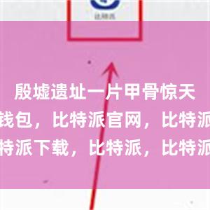 殷墟遗址一片甲骨惊天下比特派钱包，比特派官网，比特派下载，比特派，比特派加密货币