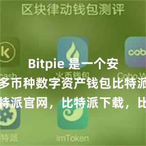 Bitpie 是一个安全、易用的多币种数字资产钱包比特派钱包，比特派官网，比特派下载，比特派，比特派加密货币