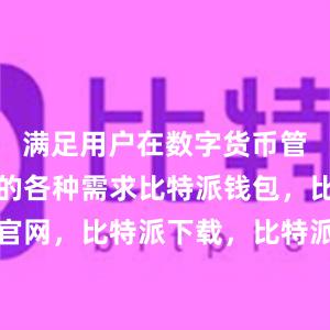 满足用户在数字货币管理过程中的各种需求比特派钱包，比特派官网，比特派下载，比特派，比特派加密货币