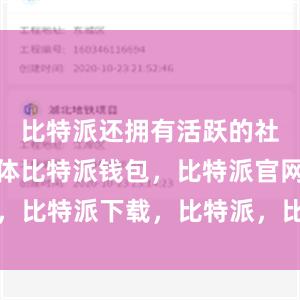 比特派还拥有活跃的社区用户群体比特派钱包，比特派官网，比特派下载，比特派，比特派加密货币