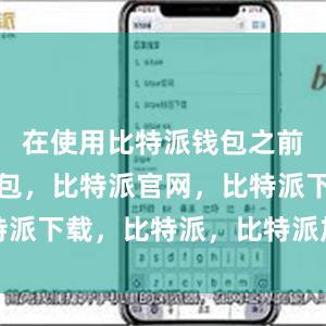 在使用比特派钱包之前比特派钱包，比特派官网，比特派下载，比特派，比特派加密货币
